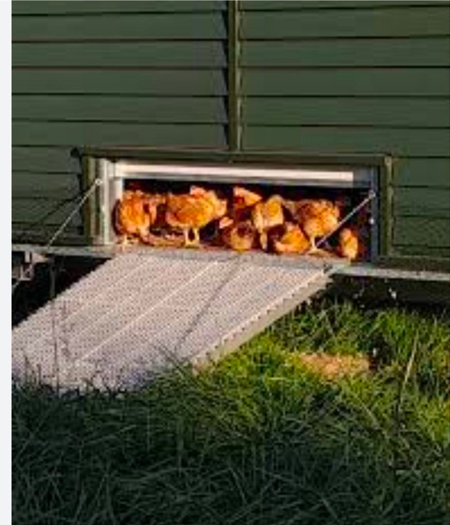 Ik zoek en weide  te huur  in de buurt  linter, Ophalen of Verzenden