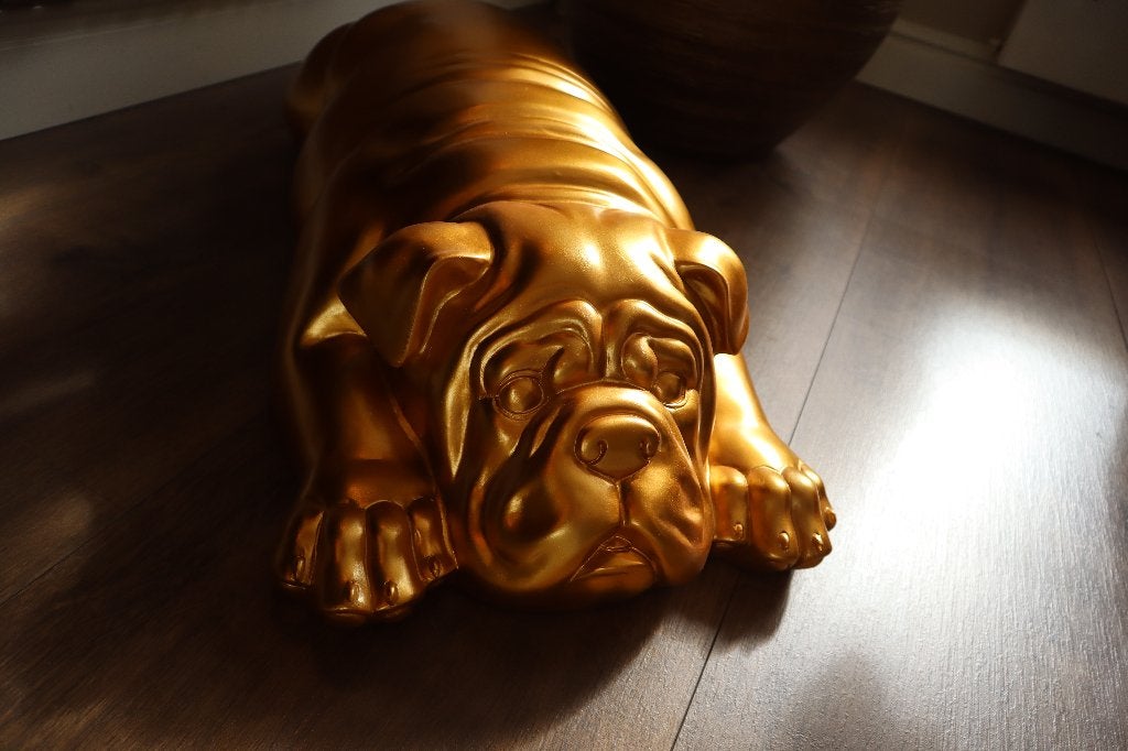 Beeld liggende Engelse Bulldog goud 90 cm nieuw, Ophalen, Nieuw, Dier