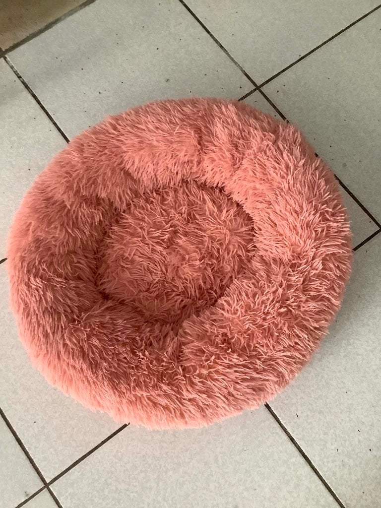 panier pour chien rose, Enlèvement, Neuf, Peluche