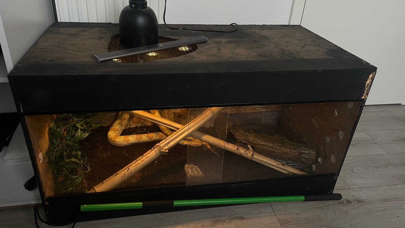 Terrarium osb, Animaux & Accessoires, Enlèvement, Utilisé, Terrarium ou Paludarium