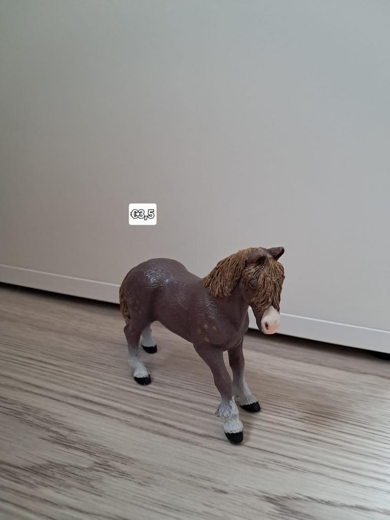 Paarden Papo, Enlèvement, Utilisé, Cheval