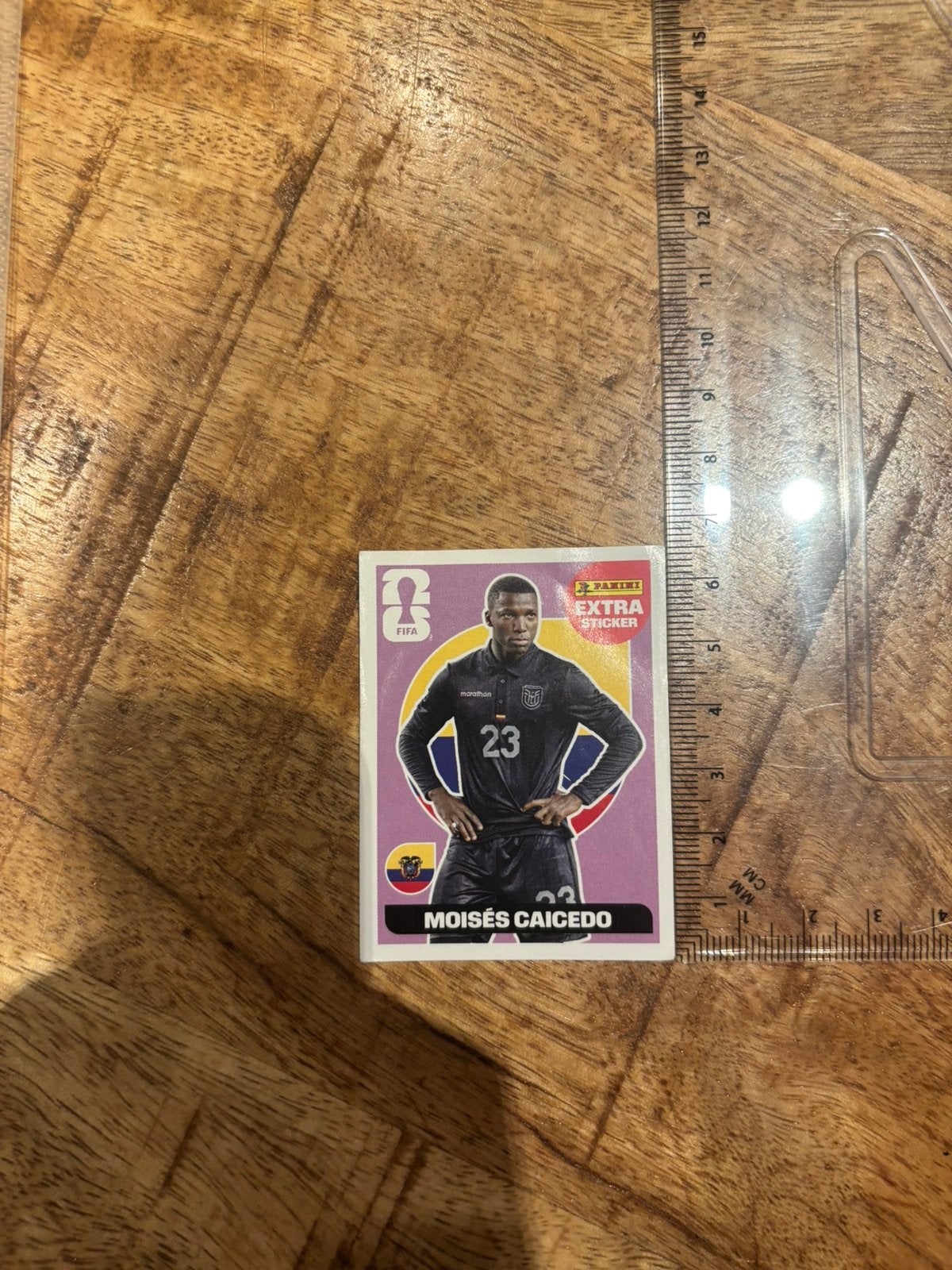 Autocollant supplémentaire Panini - Violet Moisés Caicedo, Collections, Autocollants, Enlèvement ou Envoi