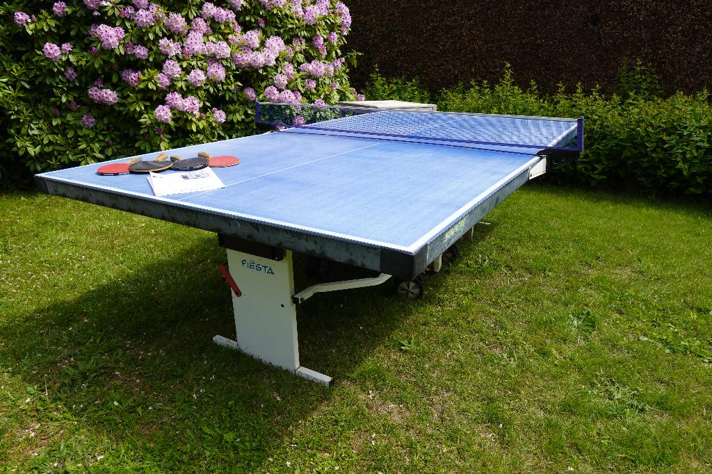tafeltennistafel merk Sven (blauw en inklapbaar), Sport en Fitness, Ophalen, Gebruikt, Tafel Outdoor, Inklapbaar