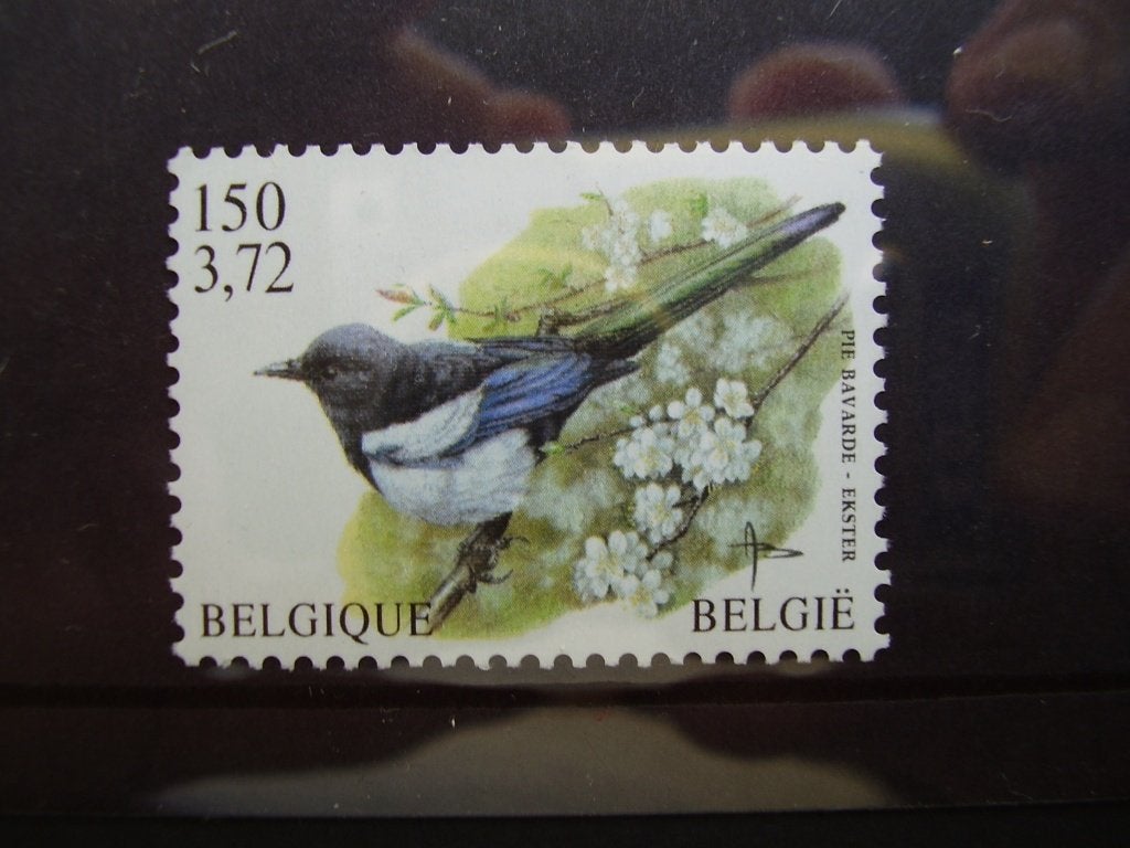 2988 postfris - Ekster, Ophalen of Verzenden, Postfris