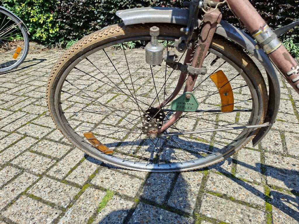 Flandria roze mannenfiets, Gebruikt, Velgrem, Versnellingen, 57 tot 61 cm