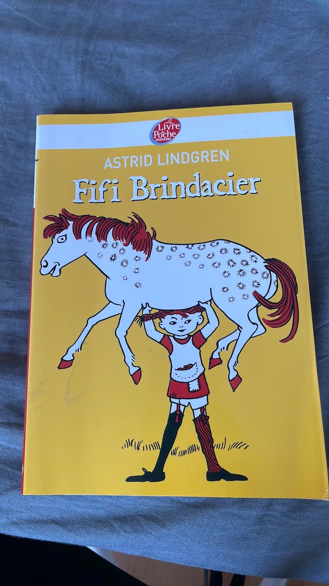 Livre « Fifi Brindacier » Astrid Lindgren, Livres, Livres pour enfants | Jeunesse | Moins de 10 ans, Enlèvement, Utilisé, Fiction général