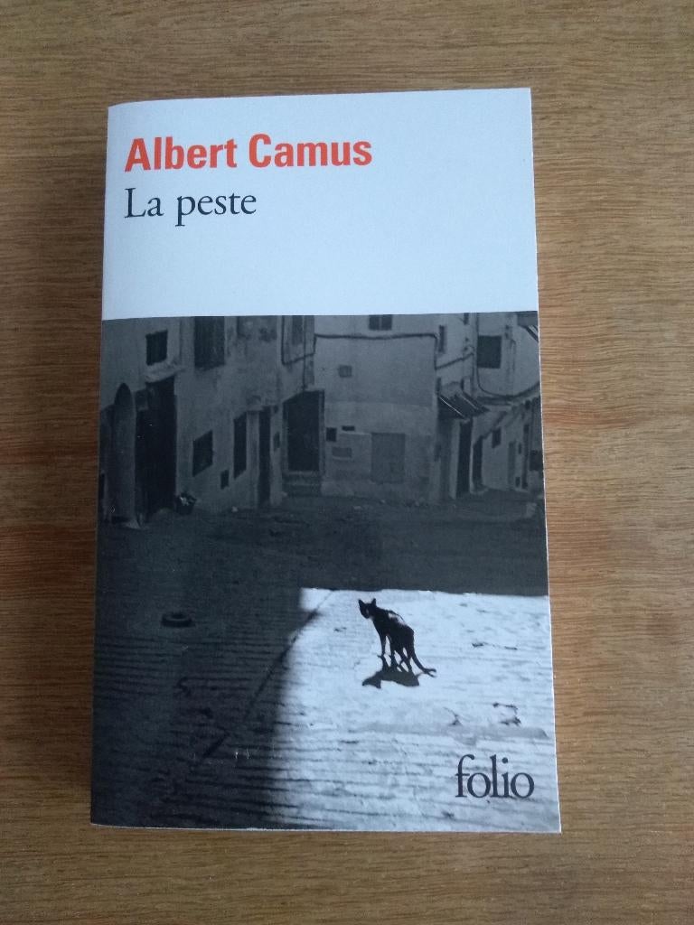 2  Albert Camus  /  LA PESTE  -   LA CHUTE, Boeken, Ophalen, Nieuw