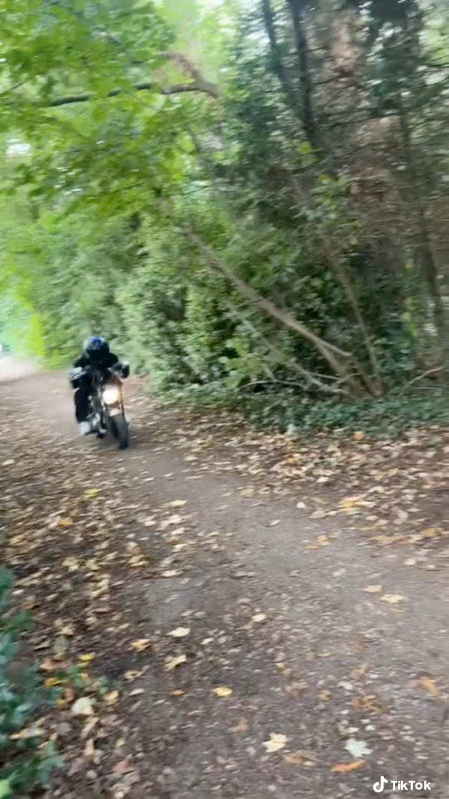 Honda dax 50cc b klasse, Fietsen en Brommers, Brommers | Honda, Ophalen, Gebruikt, Klasse B (45 km/u), 4 versnellingen