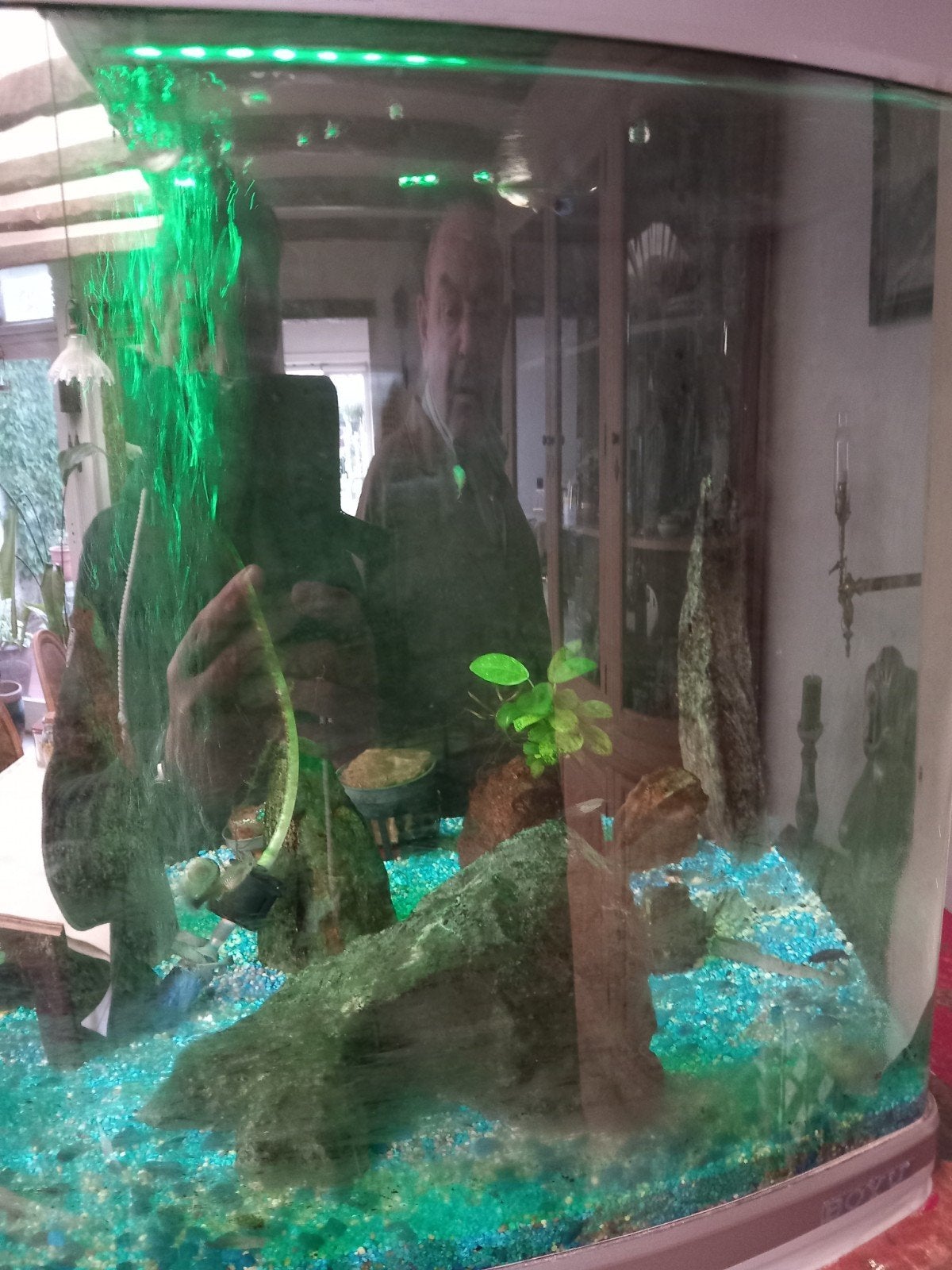 aquarium te koop, Dieren en Toebehoren, Ophalen