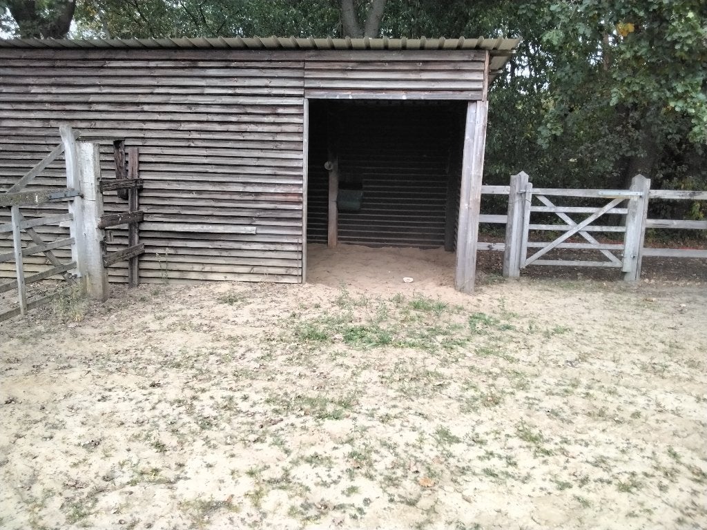 weide met schuilhok, Pâturage, 1 cheval ou poney
