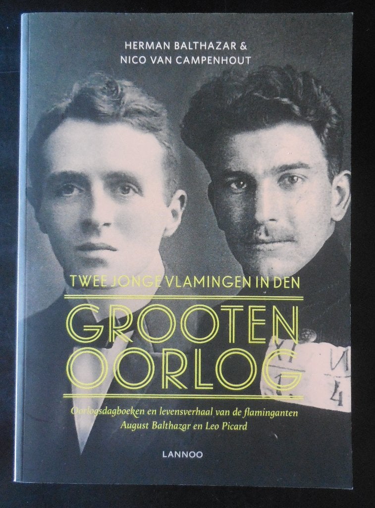 Twee jonge vlamingen in den grooten oorlog - 2014, Ophalen of Verzenden, Zo goed als nieuw