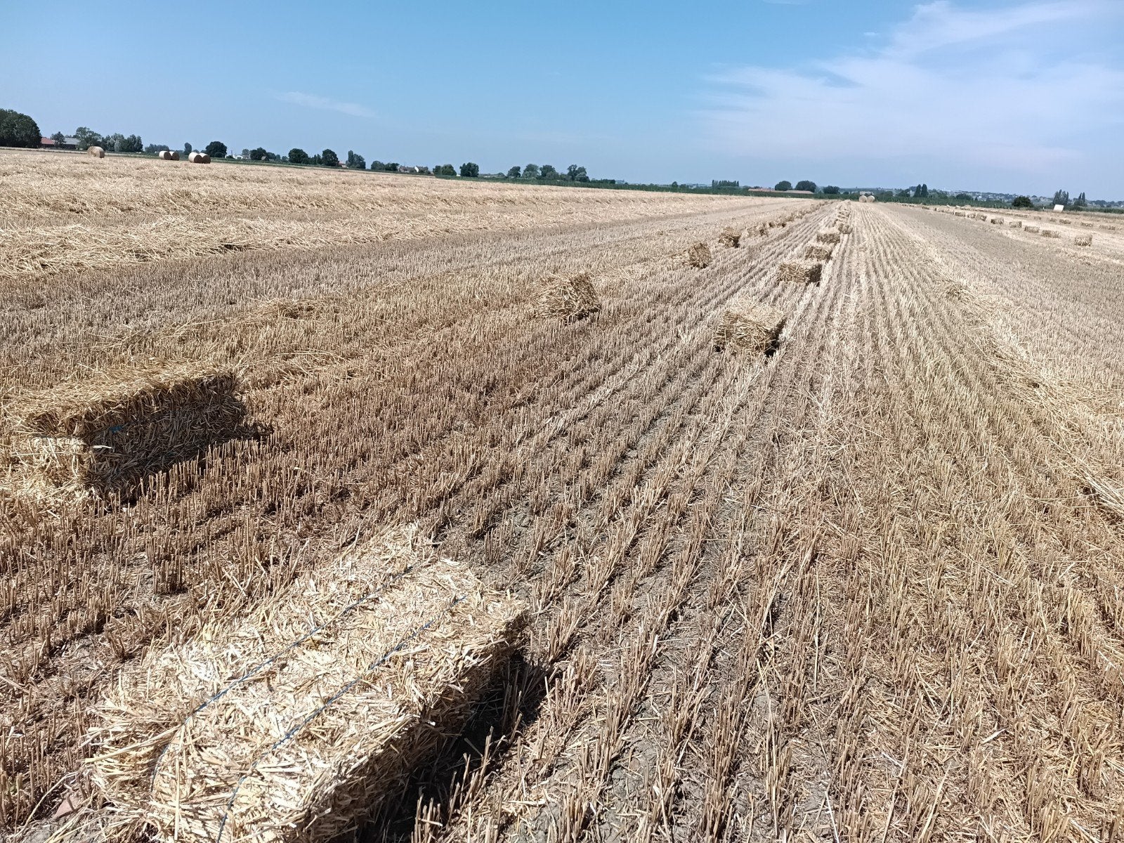 Kleine balen tarwe stro 2026, Ophalen