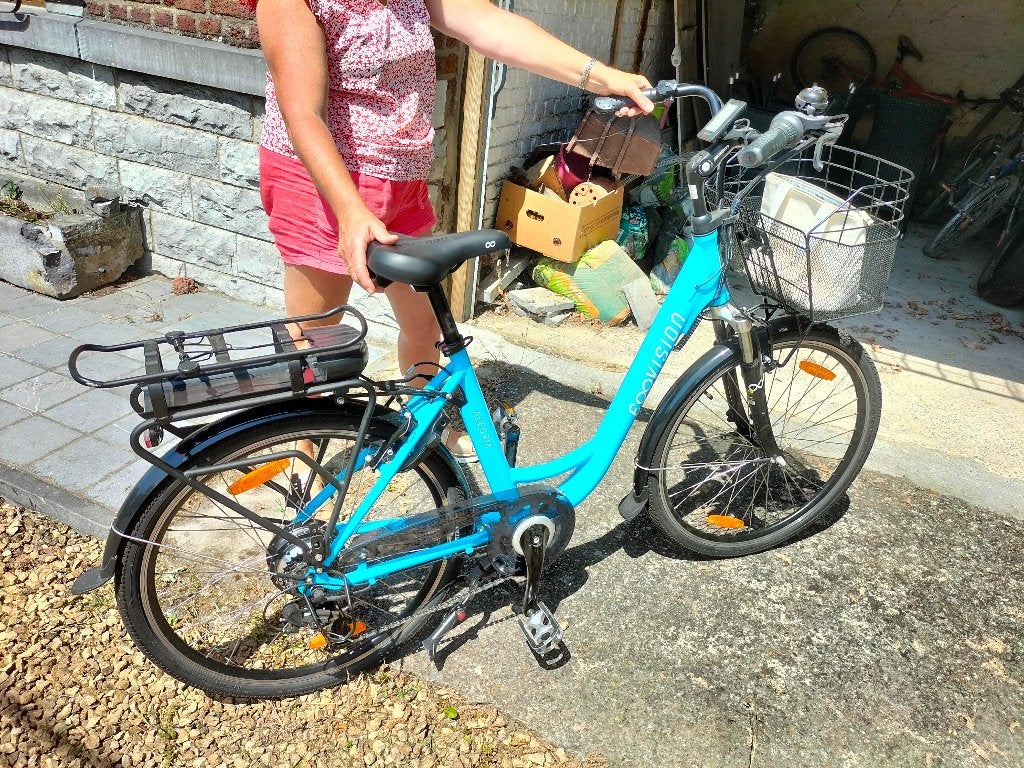 Vélo électrique, Ophalen, Zo goed als nieuw, Overige merken