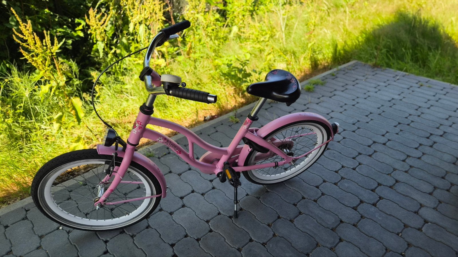 Alpina fiets 20 inch, Fietsen en Brommers, Ophalen