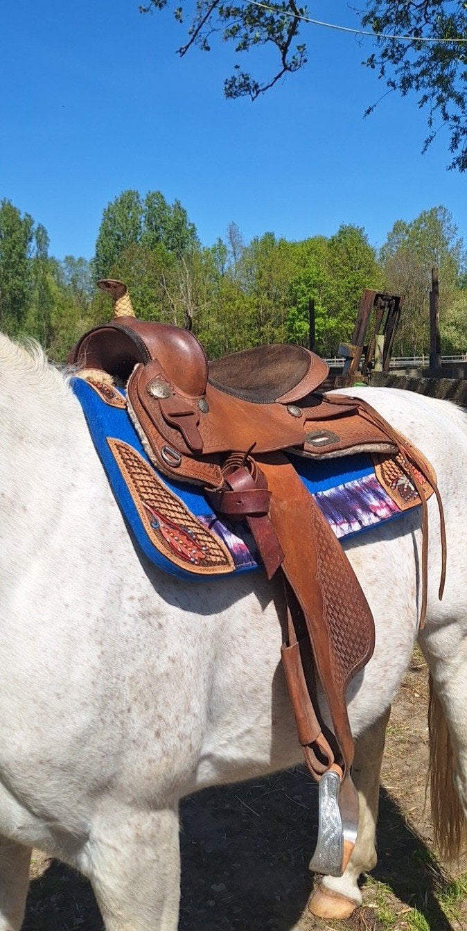 Westernzadel, Dieren en Toebehoren, Paarden en Pony's | Zadels, Ophalen, L (17.5 inch), Gebruikt, Overige merken
