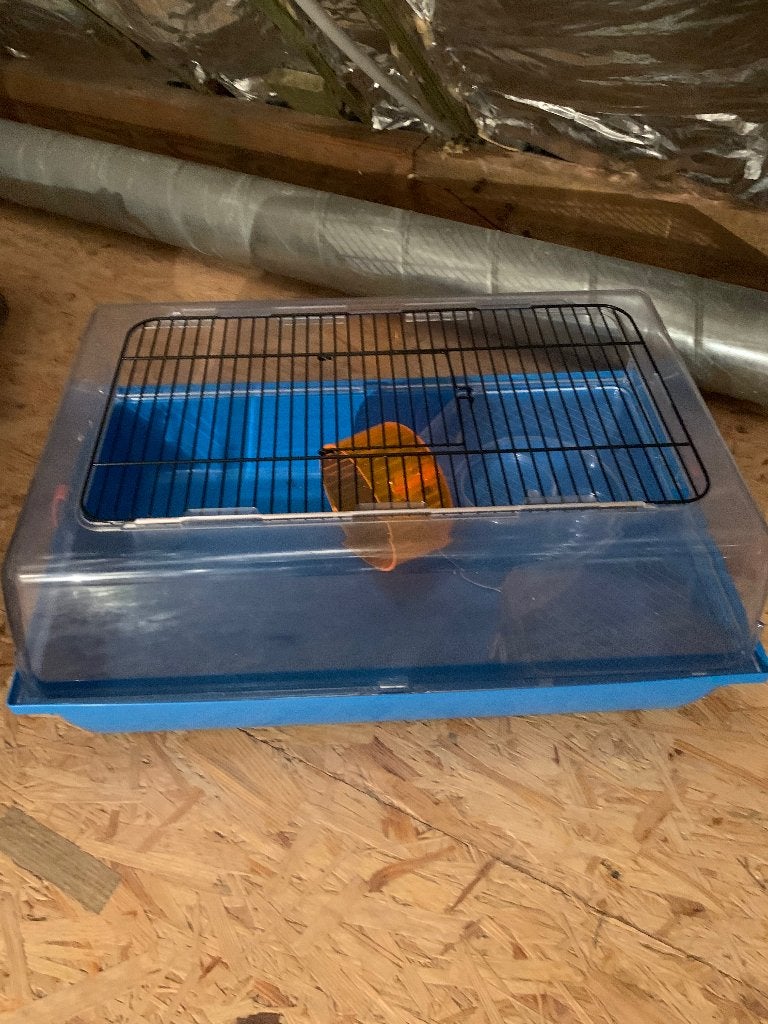 Hamsterkooi, Ophalen, Gebruikt, Hamster