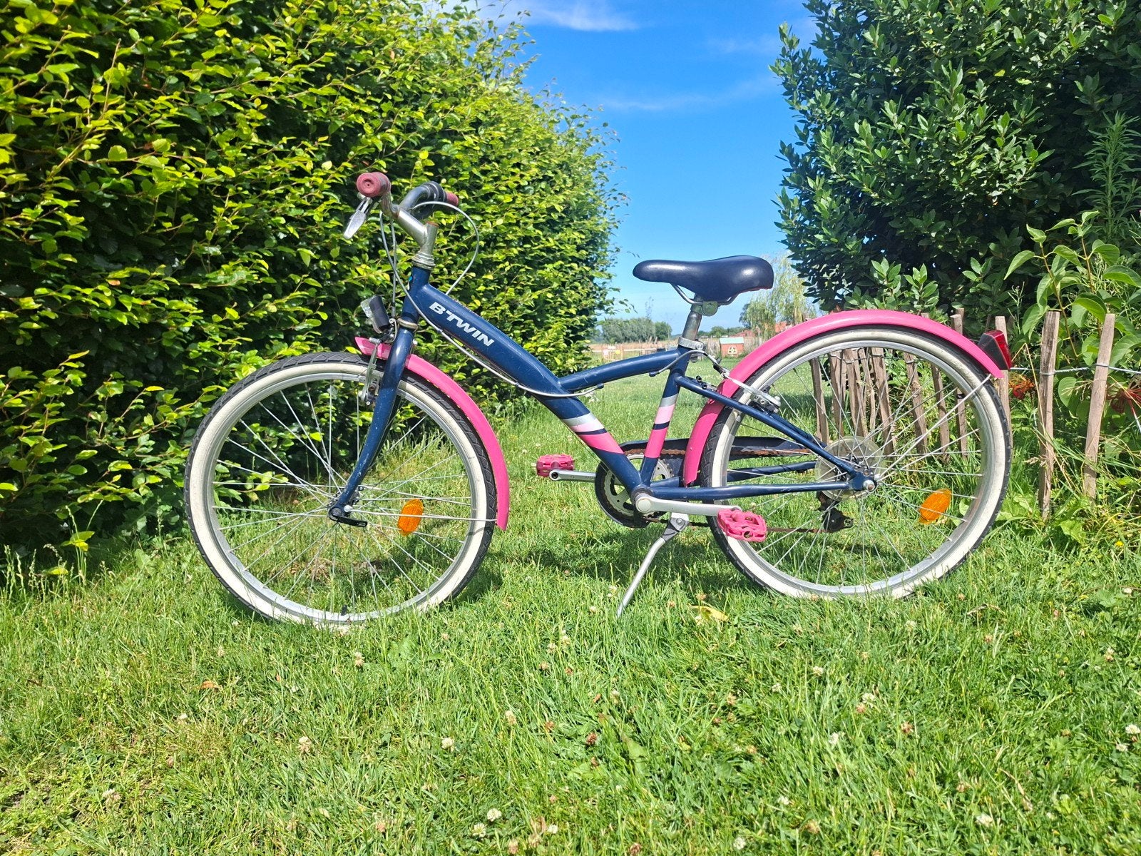Kinderfiets meisjes., Enlèvement