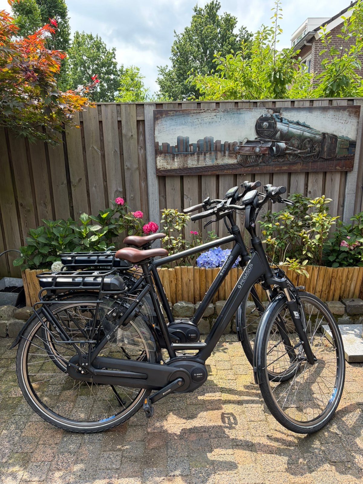 Pegasus Siena E7f (setprijs), Zo goed als nieuw, 51 tot 55 cm, 50 km per accu of meer, Ophalen