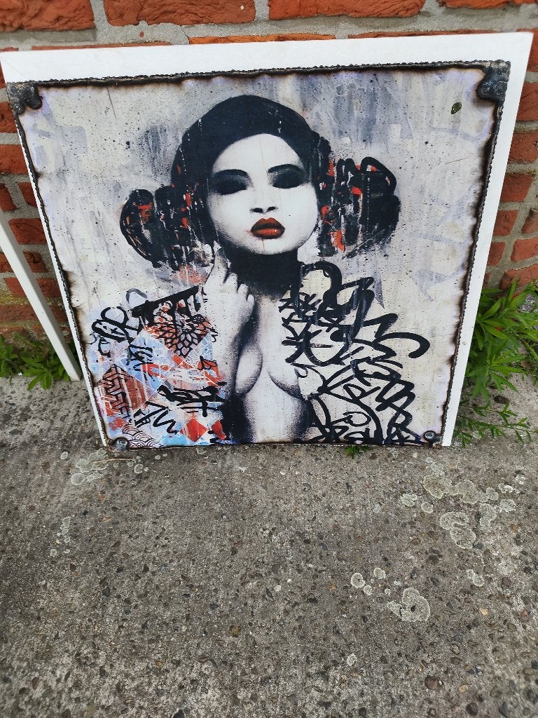 werk van Graffiti kunstenaar Hush op ijzer, Ophalen of Verzenden