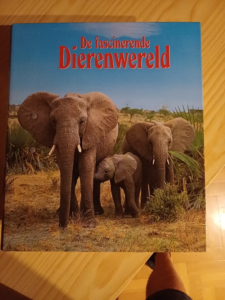 DIERENWERELD, Ophalen of Verzenden, Nieuw