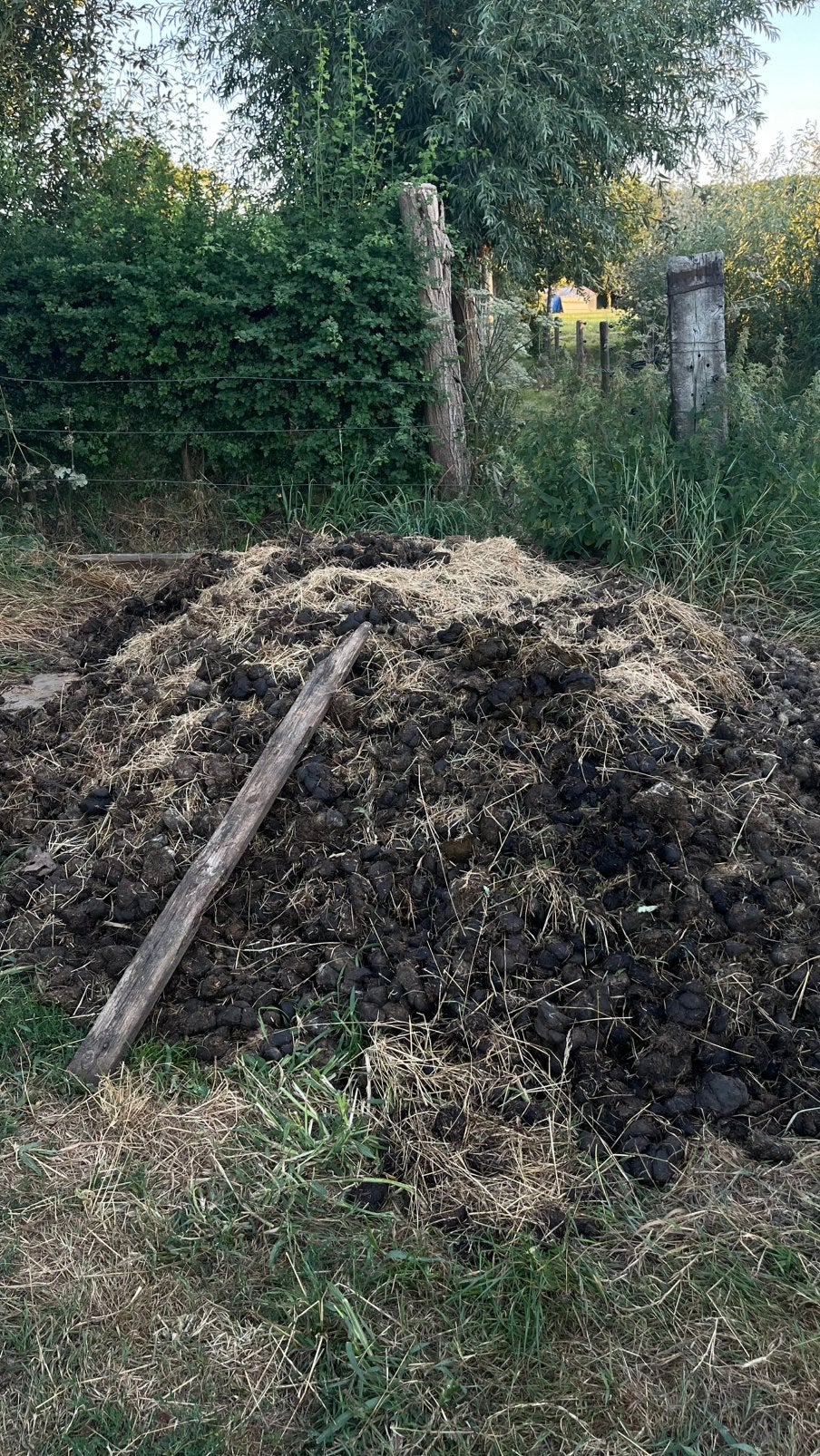 Paardenmest, Enlèvement, Fumier