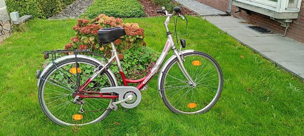 Fortuna, 50 à 53 cm, Enlèvement, Utilisé, Vitesses