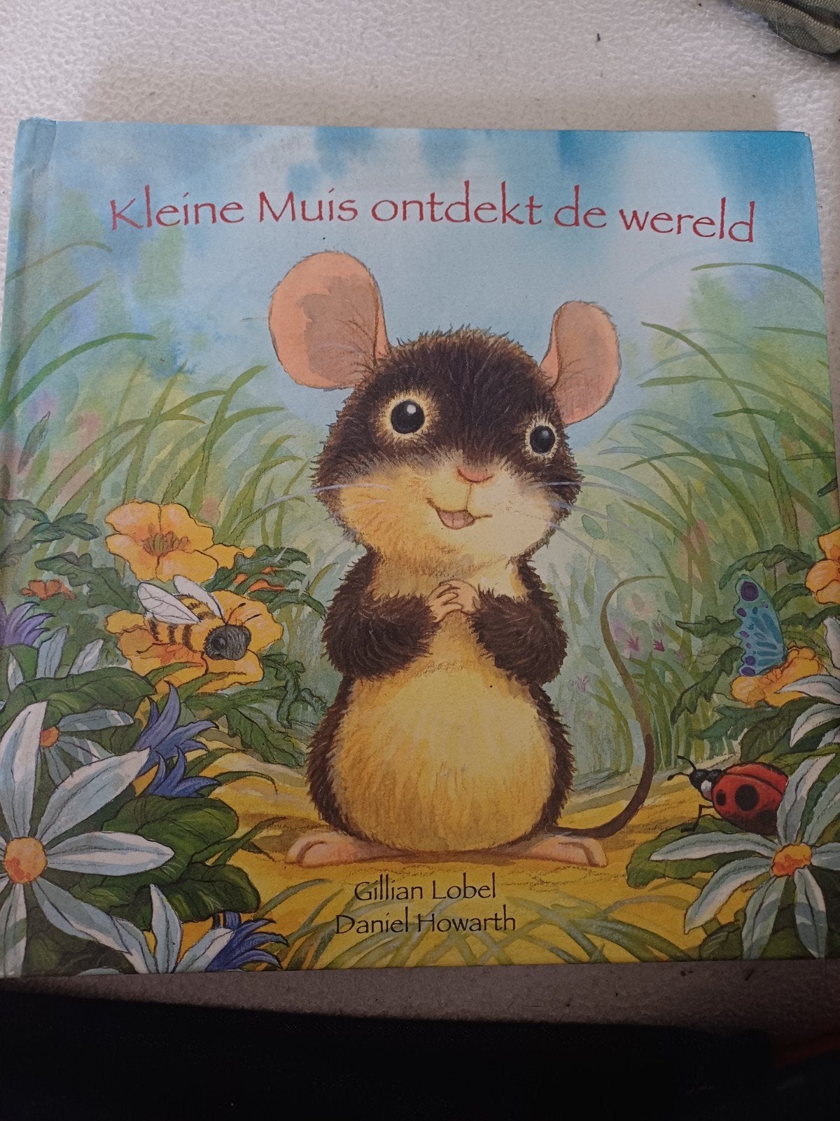 Kleine muis ontdekt de wereld, Livres, Livres d'images & Albums d'images, Enlèvement ou Envoi