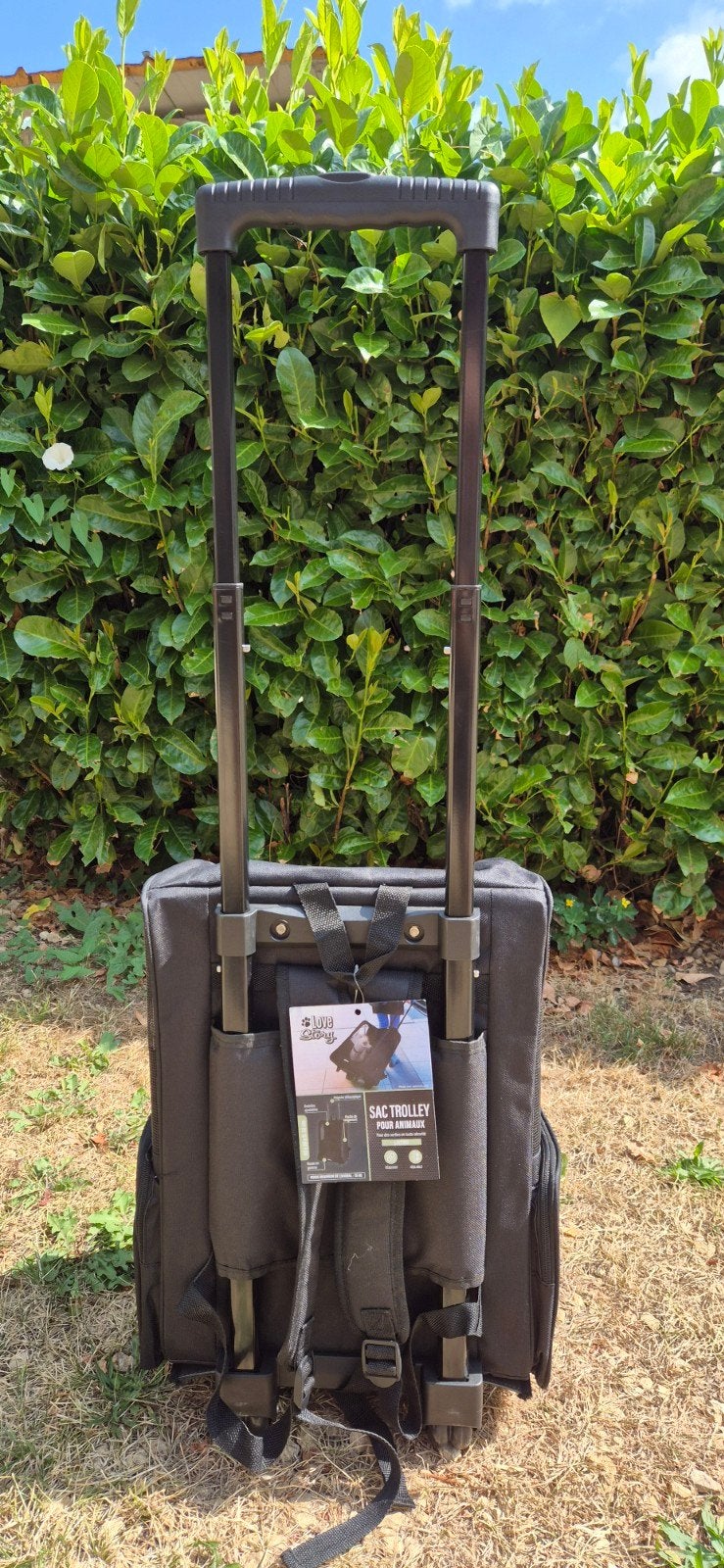 Sac trolley pour petit chien ou chat, Dieren en Toebehoren, Ophalen