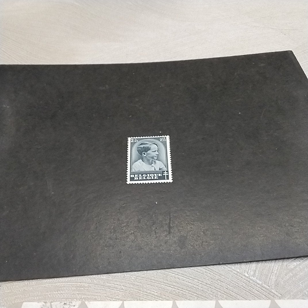 BELGIE  446 postfris met cote 6,50 €., Postzegels en Munten, Ophalen of Verzenden, Postfris