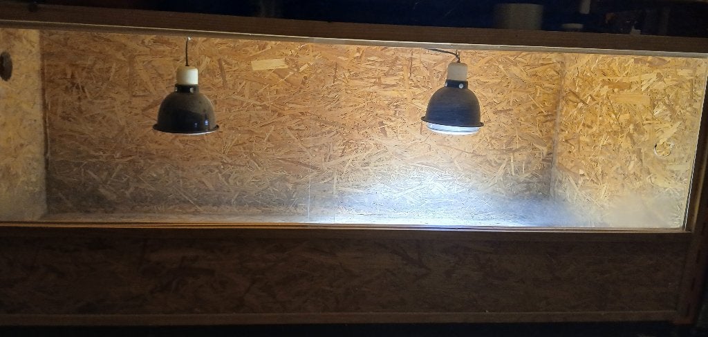 Terrarium en OSB, Animaux & Accessoires