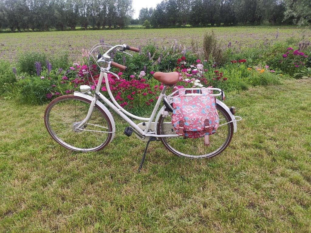 Fiets, Fietsen en Brommers, Ophalen, Gebruikt, Versnellingen