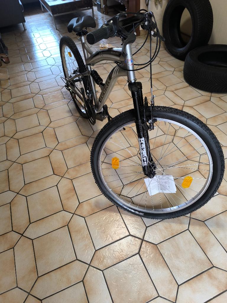 Nieuwe fiets, Fietsen en Brommers, Velgrem, Nieuw, Higan, Ophalen