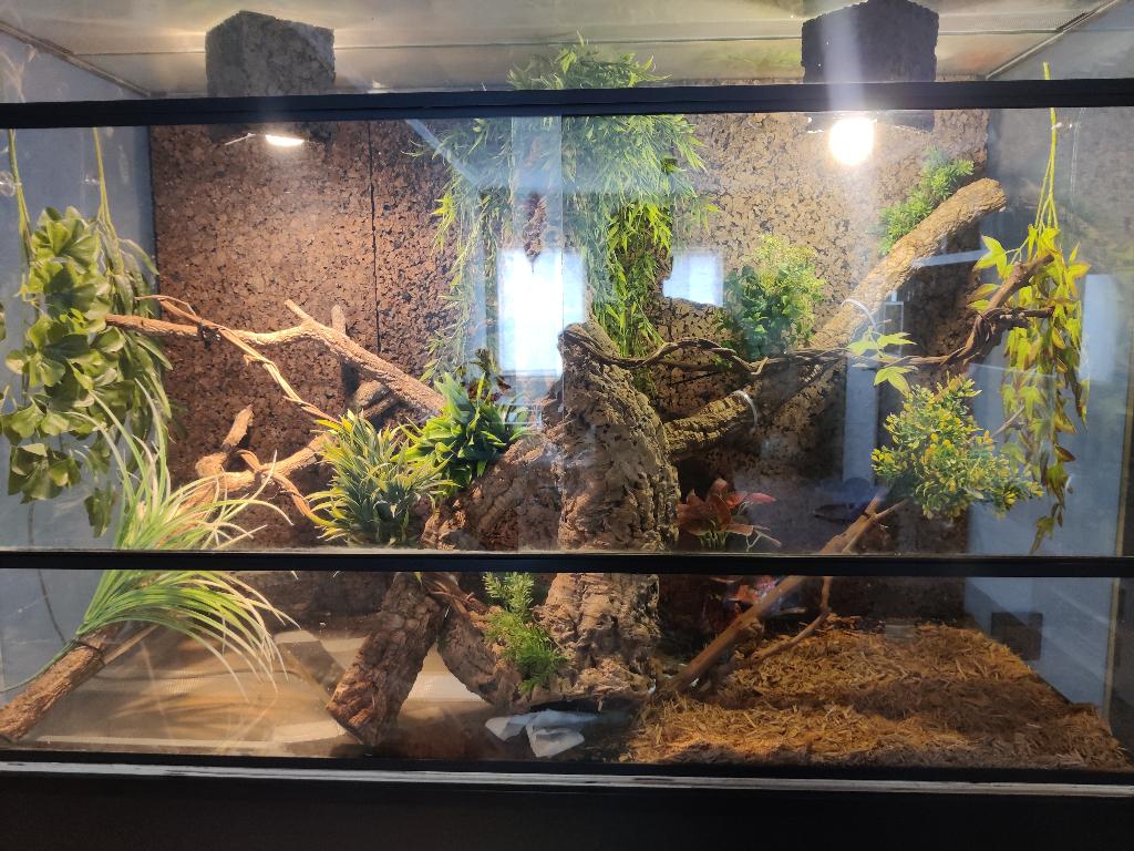 Terrarium, Dieren en Toebehoren, Ophalen, Gebruikt, Terrarium of Paludarium