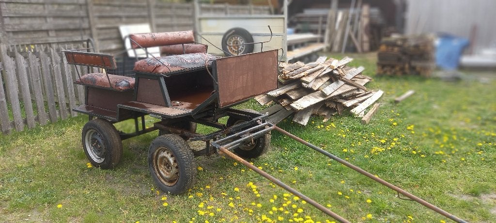 Paardenkoetsen, Dieren en Toebehoren, Gebruikt, Overige typen, Paard