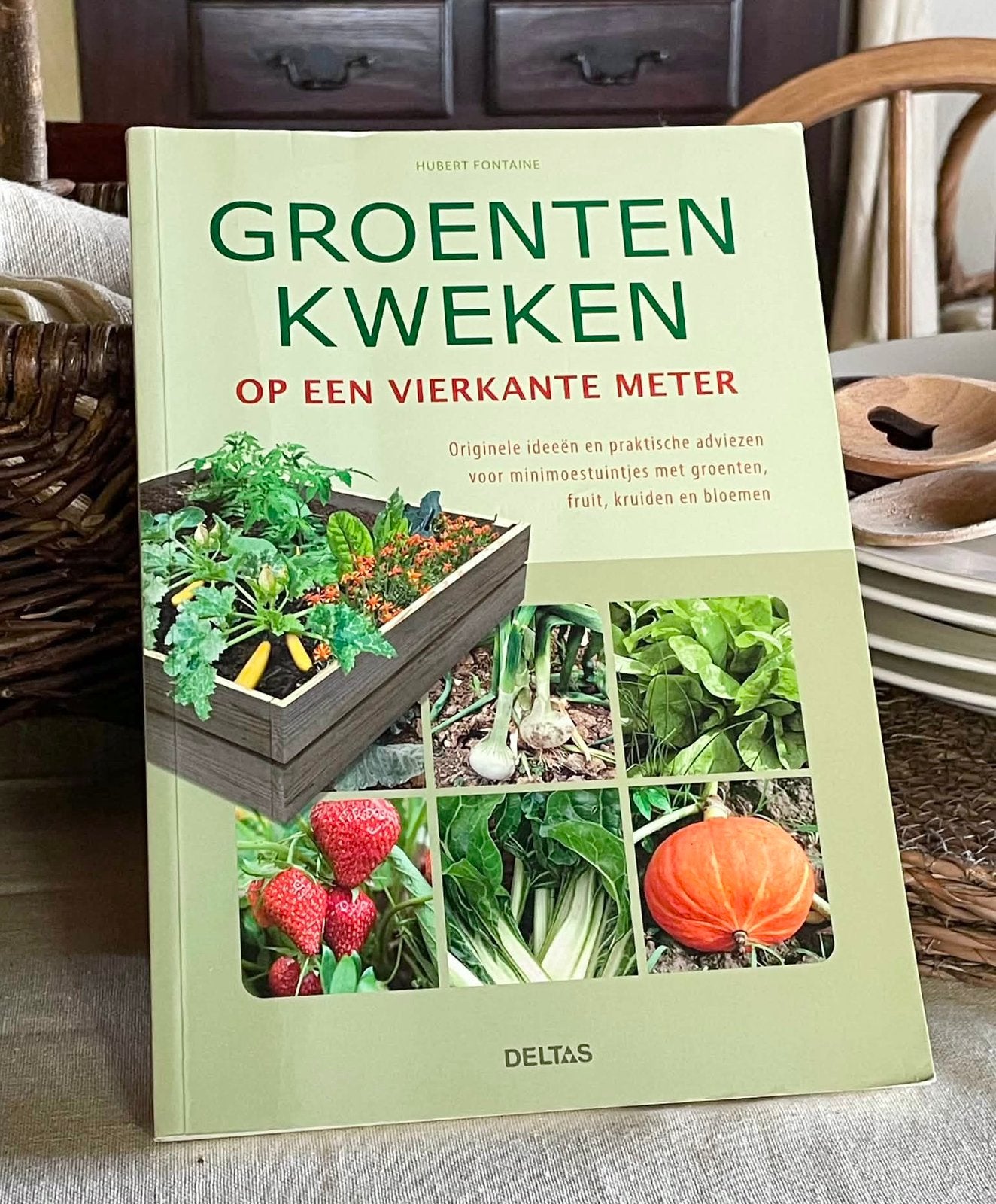 Groenten kweken op een vierkante meter • Hubert fontaine, Ophalen of Verzenden, Zo goed als nieuw