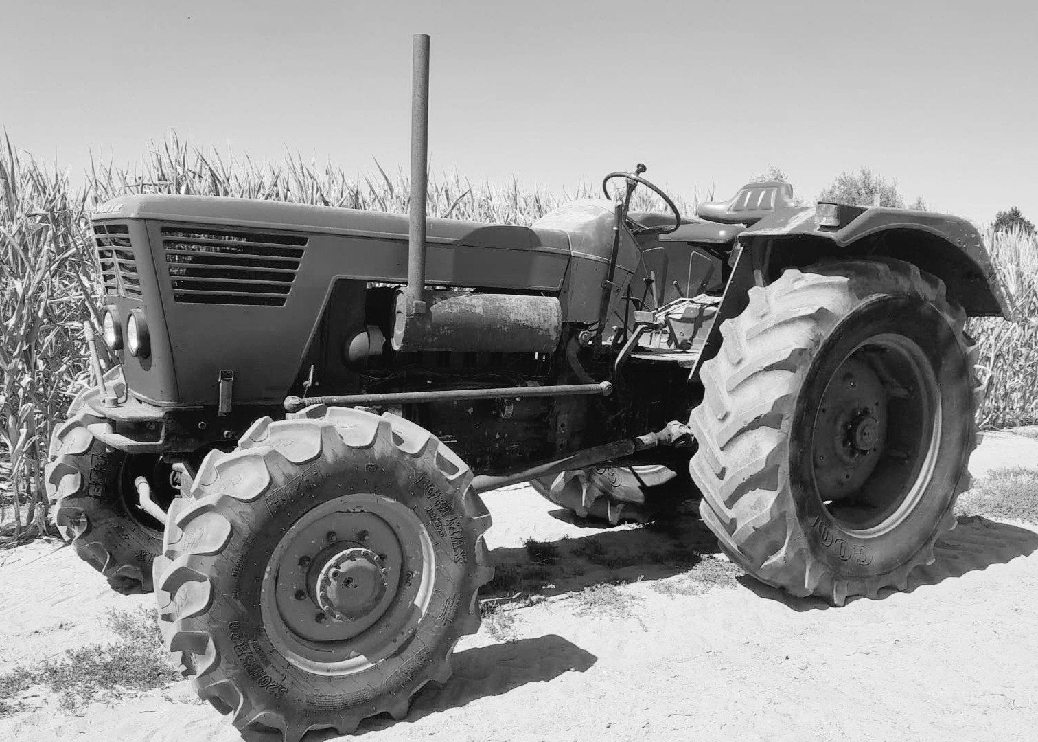 Deutz D8006, Deutz - Fahr, Jusqu'à 80 ch, Enlèvement, Oldtimer/Ancêtre