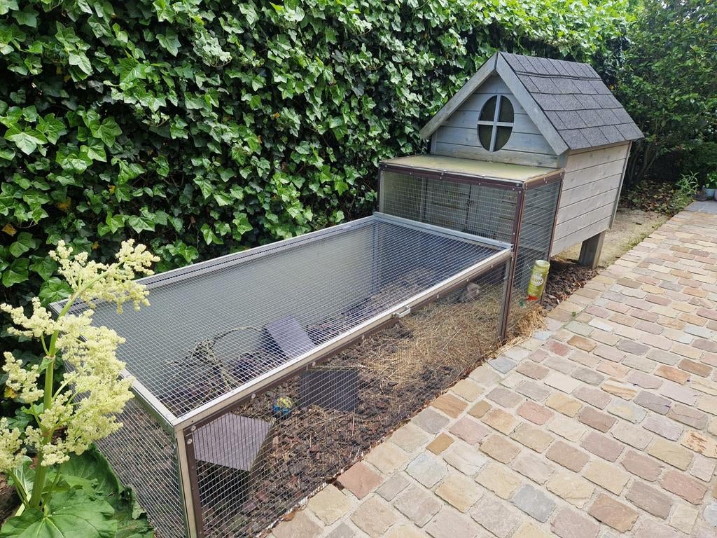 Cavia / konijnenhok met buiten ren, Dieren en Toebehoren, Knaagdieren en Konijnen | Hokken en Kooien, Ophalen, 90 cm of meer, Konijn