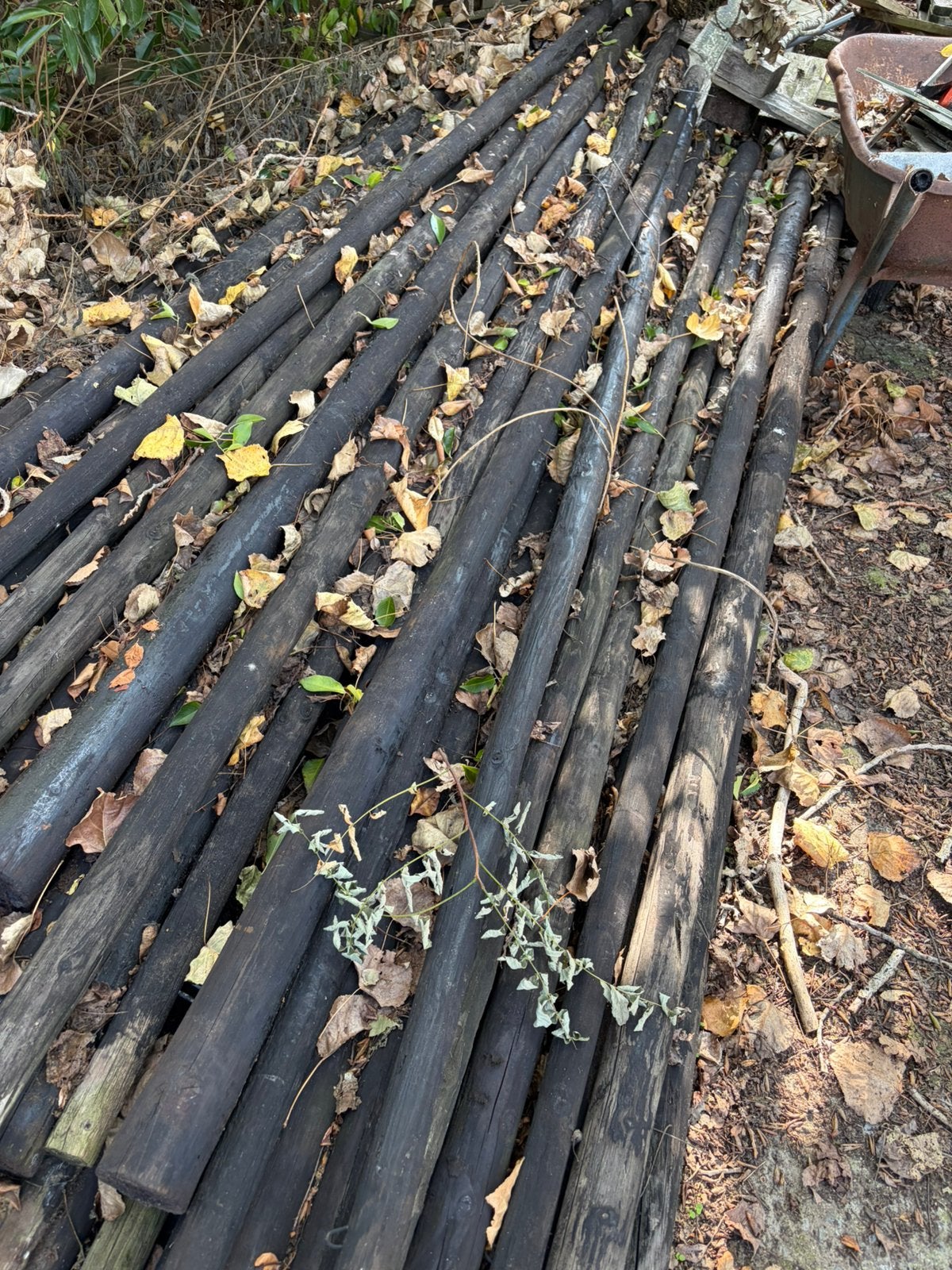 Houten palen, Tuin en Terras, Palen, Balken en Planken, Ophalen, Gebruikt, 250 cm of meer, Palen