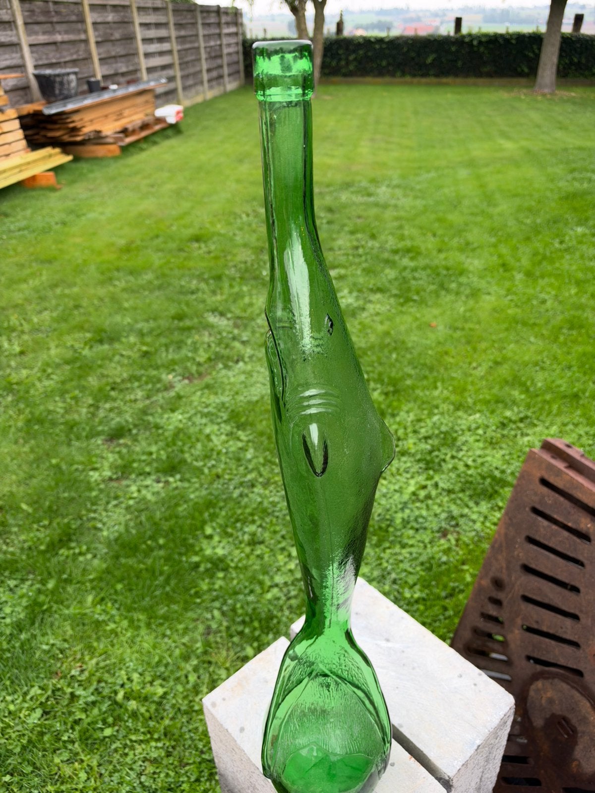 Grote fles haai, Ophalen