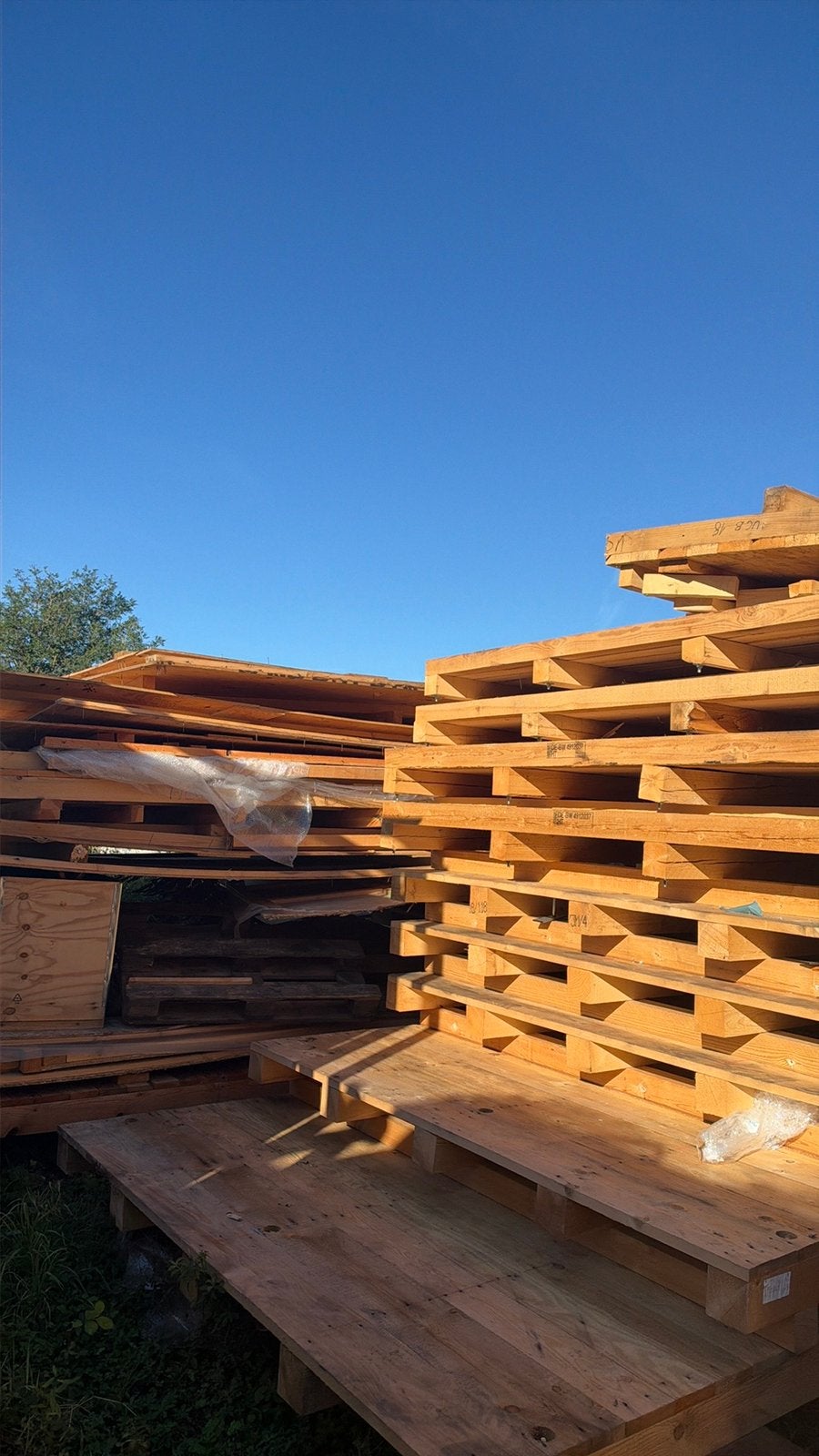 Hout om te geven, Doe-het-zelf en Bouw, Ophalen, Zo goed als nieuw