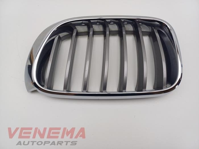 Grille van een BMW X3 (NVT), Gebruikt, -, -, Ophalen of Verzenden