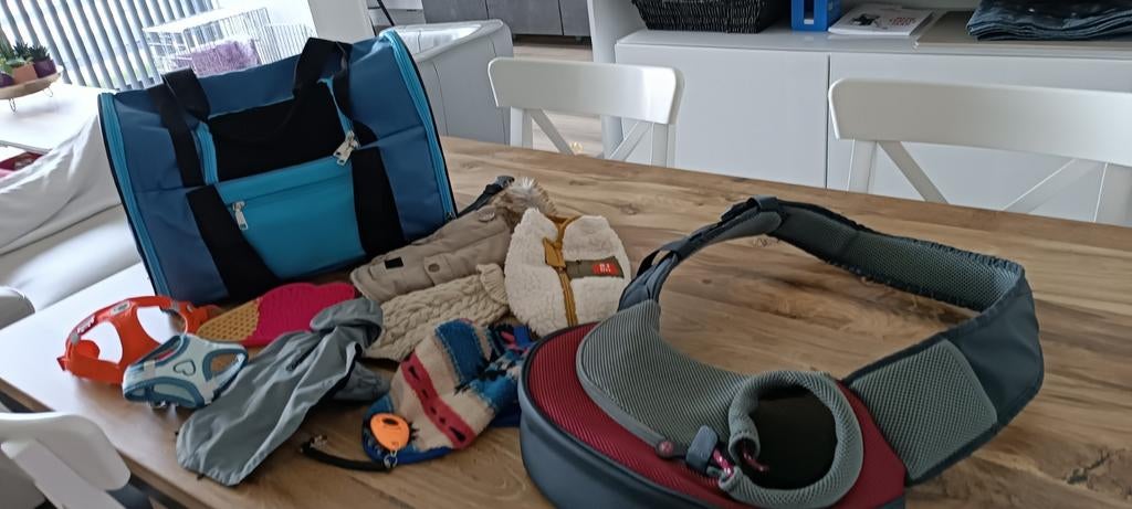 Toutes sortes pour chiots, Enlèvement