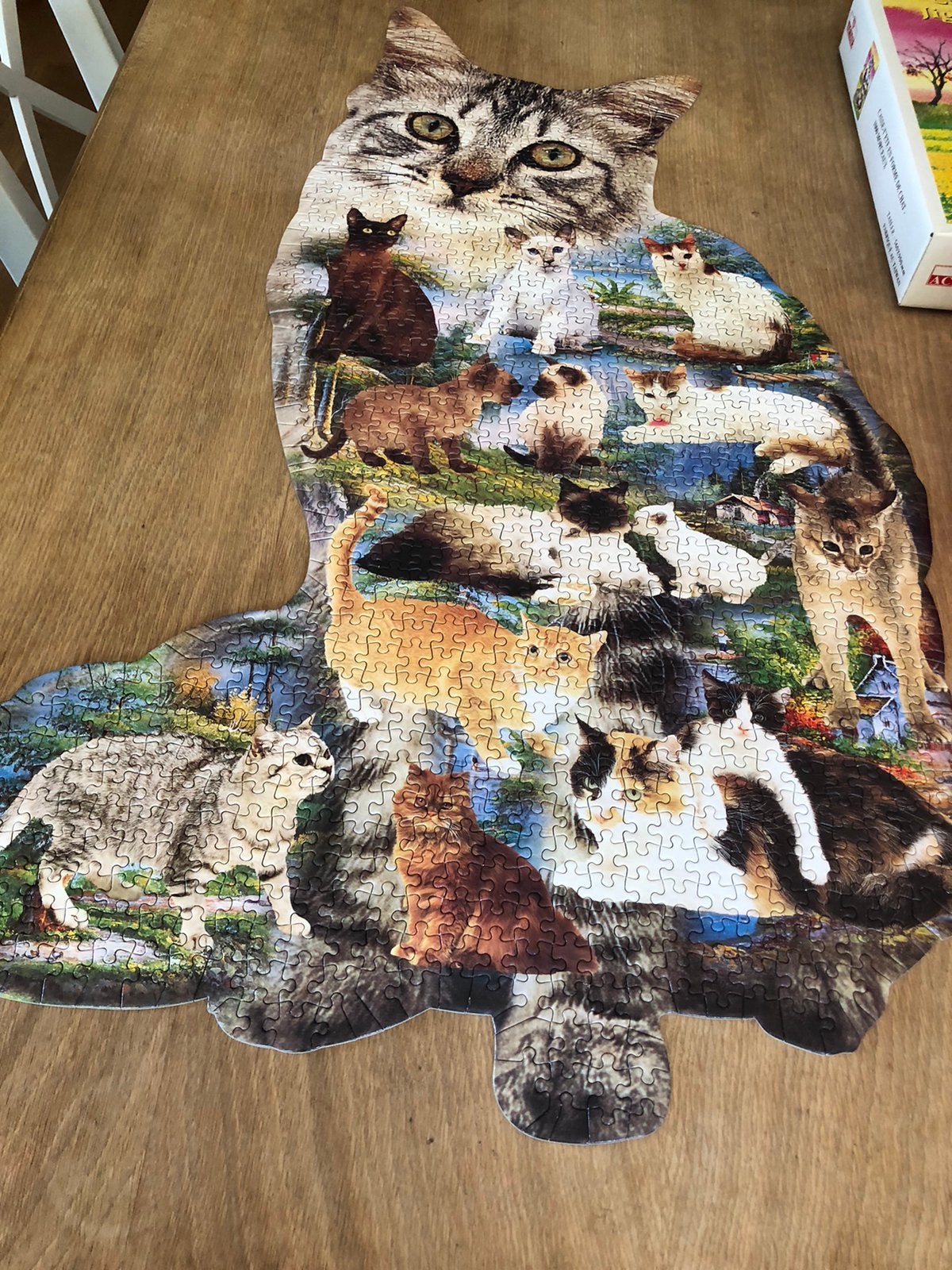 Puzzel, Hobby & Loisirs créatifs, Sport cérébral & Puzzles, Enlèvement, Comme neuf