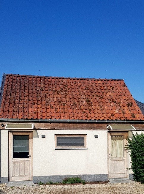 Tijdelijke woning gemeubeld, 35 tot 50 m², Gent