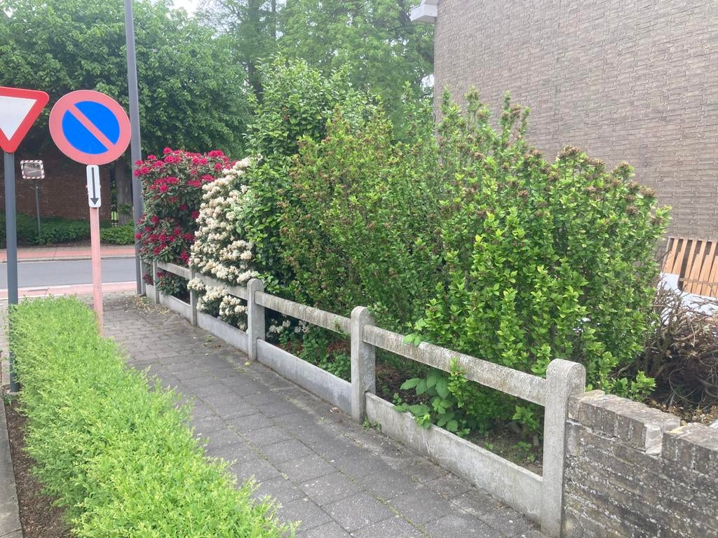 Betonnen palen/ schutting, Ophalen, Zo goed als nieuw
