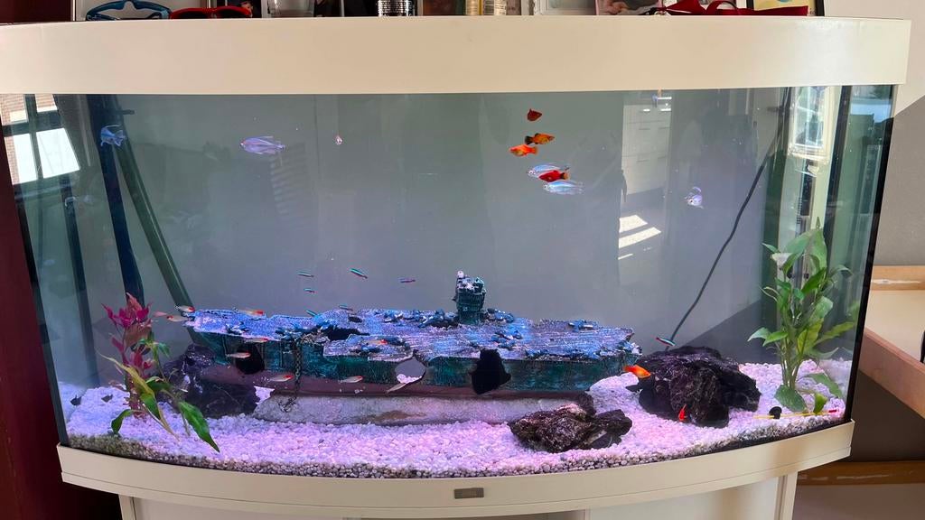Aquarium complet , négociable, Ophalen, Pomp, Zo goed als nieuw