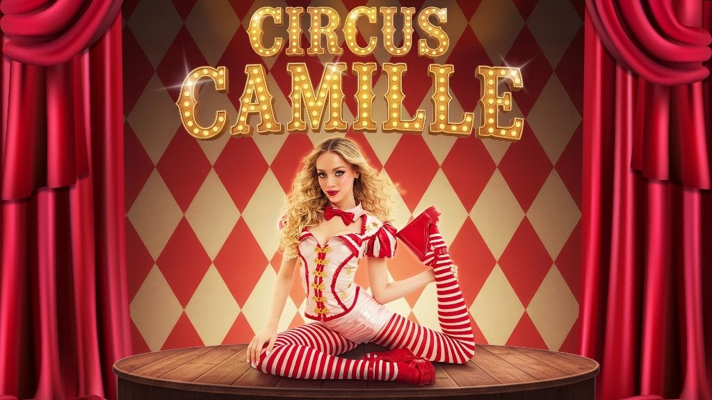 2x tickets circus Camille, Tickets en Kaartjes, Twee personen, Augustus, Pop