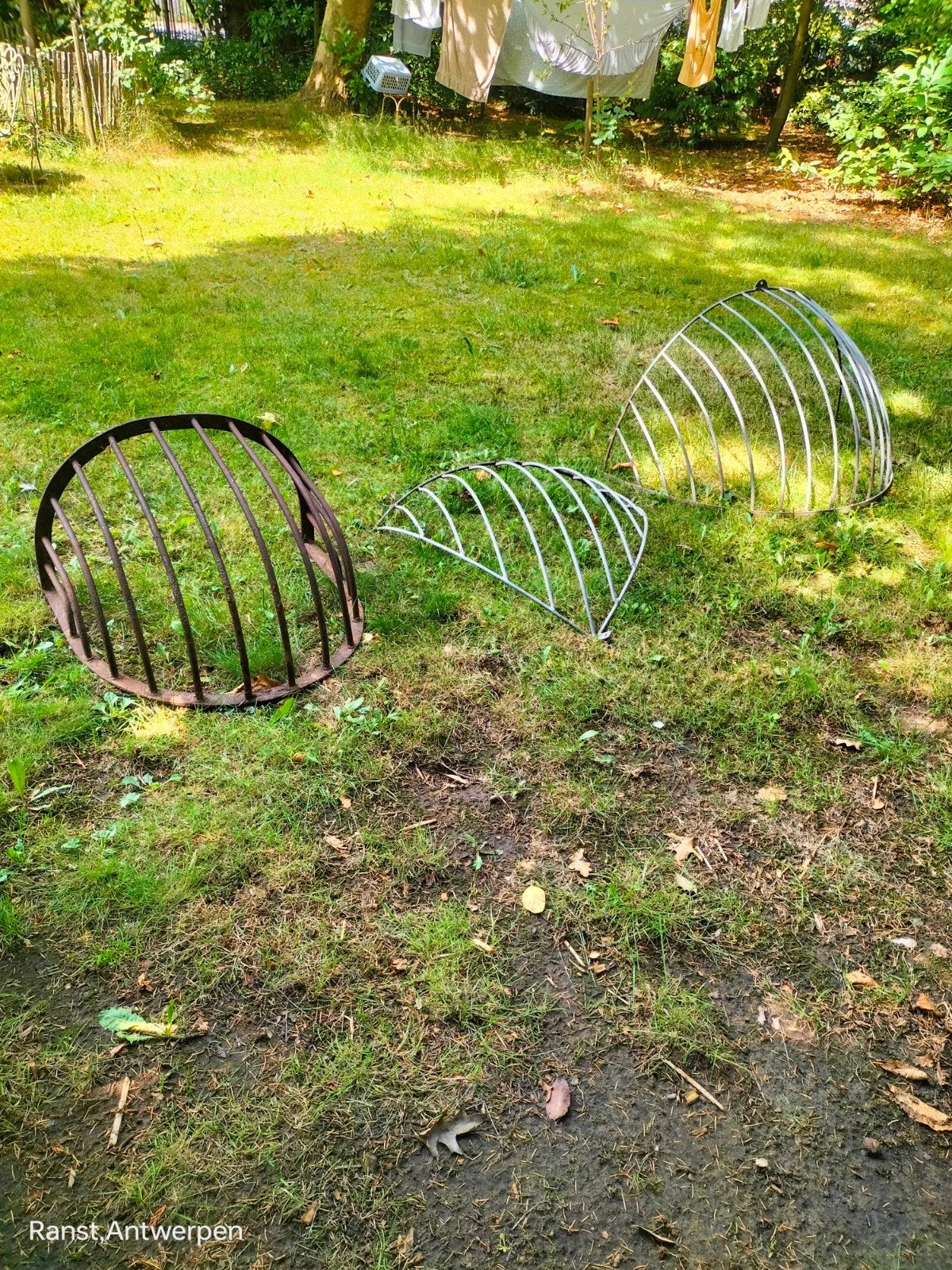 Paardenruiven, Ophalen