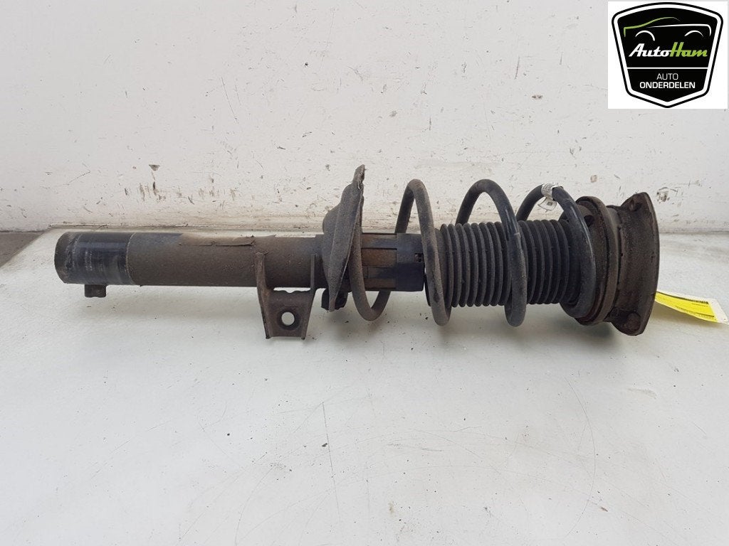 SCHOKBREKER LINKS VOOR Volkswagen Tiguan (AD1), Dhr. J. Ham, Gebruikt, Volkswagen, Administratie@autoham.nl