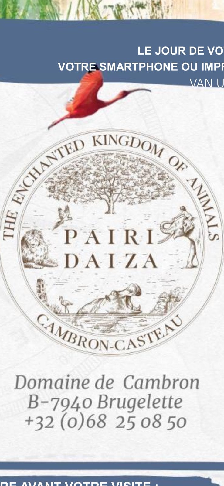 Tickets Pairi Daiza, Trois personnes ou plus